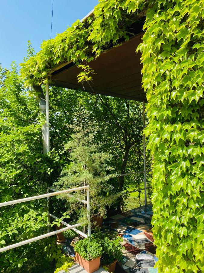 Green House Ξενοδοχείο Lagodekhi Εξωτερικό φωτογραφία