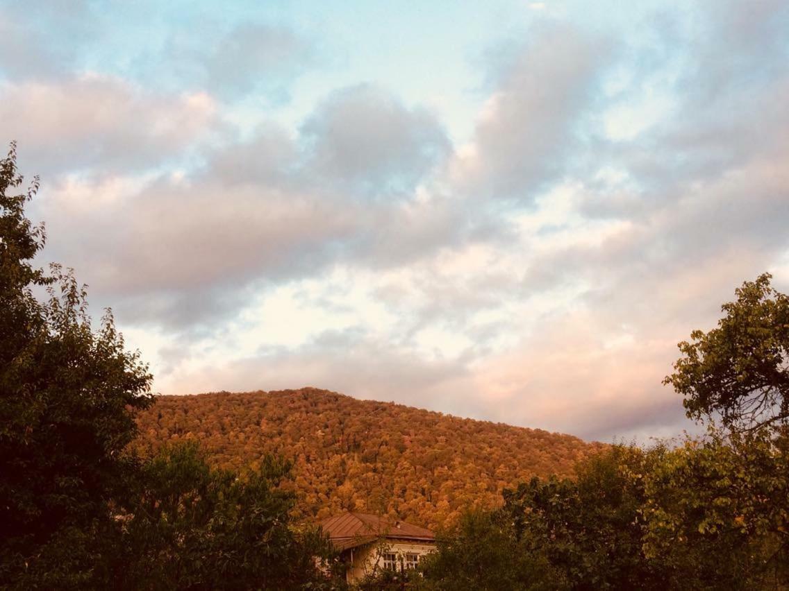 Green House Ξενοδοχείο Lagodekhi Εξωτερικό φωτογραφία